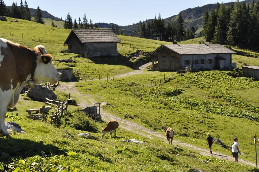Landhaus Koller Gosau Eksteriør bilde